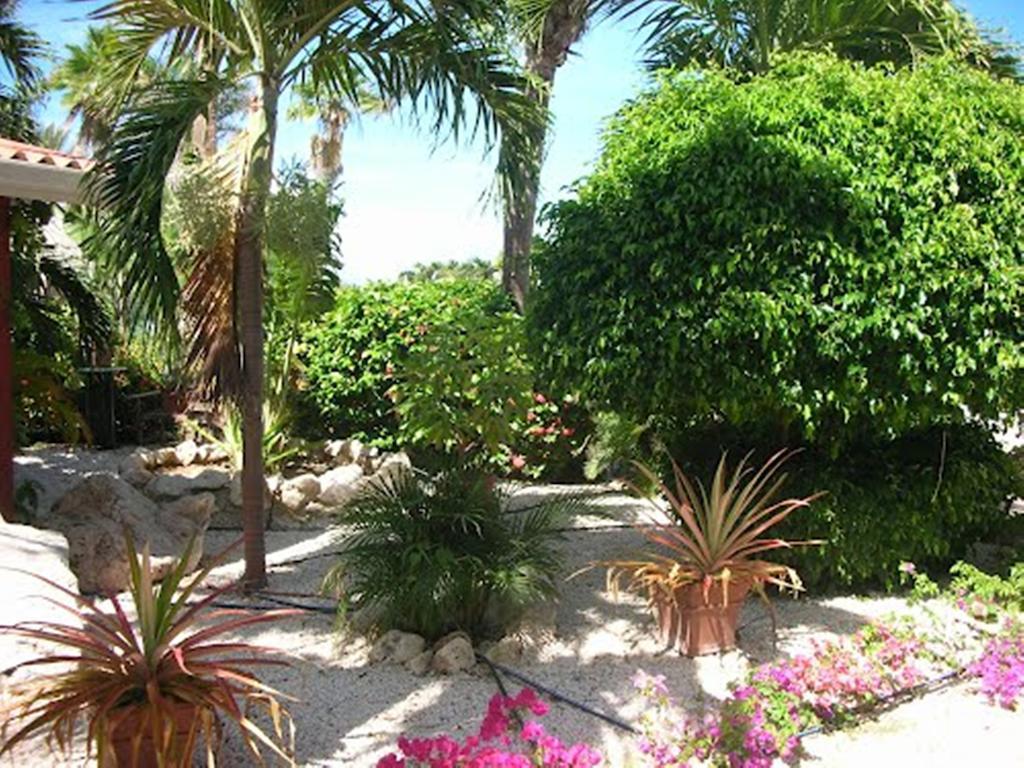 Seru Coral Resort Studio 16 Willemstad Exterior photo
